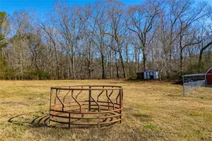 901 Tallapoosa East Church Rd, Buchanan, GA 30113 - Photo 103