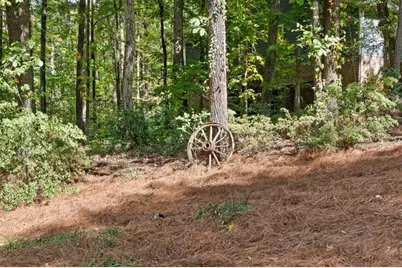 1165 Johnson Circle, Lawrenceville, GA 30046 - Photo 41