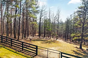 2830 Dabbs Bridge Rd, Dallas, GA 30132 - Photo 89