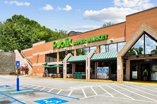 2193 Virginia Pl NE, Atlanta, GA 30305 - Photo 57