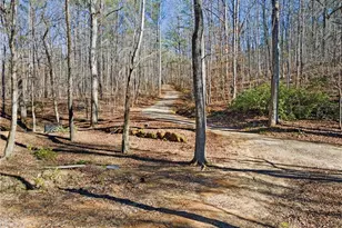 4941 N Helton Rd, Winston, GA 30187 - Photo 67