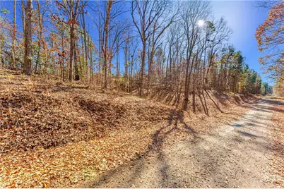 0 Mountain View Road, Lavonia, GA 30553 - Photo 3