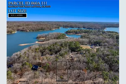 0 Mountain View Road, Lavonia, GA 30553 - Photo 7