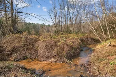 1035 McFarlin Bridge Road, Carnesville, GA 30521 - Photo 69