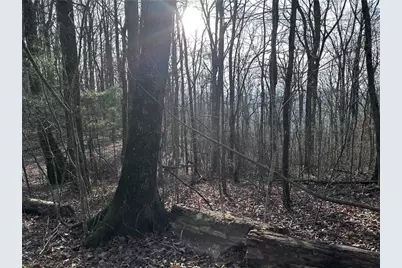 32 Andes Ridge, Jasper, GA 30143 - Photo 13