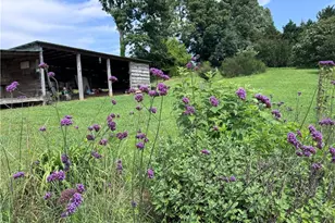 315 Woody Rd NW, Adairsville, GA 30103 - Photo 41