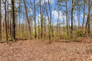 222 Lynn Rd, Bethlehem, GA 30620 - Photo 41