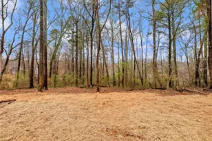 222 Lynn Rd, Bethlehem, GA 30620 - Photo 39