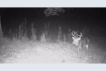 455 River Bend Road SW, Plainville, GA 30733 - Photo 57