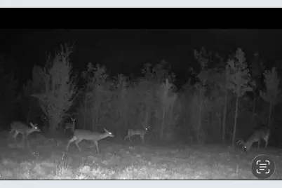 455 River Bend Road SW, Plainville, GA 30733 - Photo 59