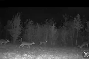 455 River Bend Rd SW, Plainville, GA 30733 - Photo 59