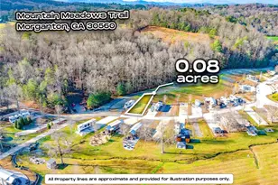 0 Mountain Meadows, Morganton, GA 30560 - Photo 1