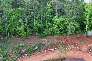 1035 Goldin Rd, Temple, GA 30179 - Photo 3