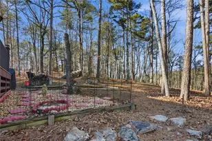 126 Delaney Pine Dr, Waleska, GA 30183 - Photo 21