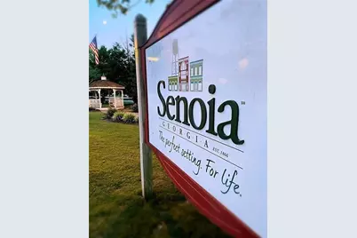 124 Morgan Street, Senoia, GA 30276 - Photo 19