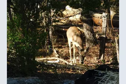 873 Port West Drive, Auburn, GA 30011 - Photo 33