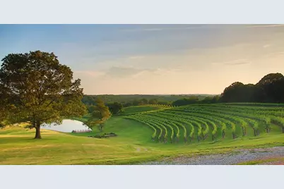 100 Aspen Court #276, Dahlonega, GA 30533 - Photo 77