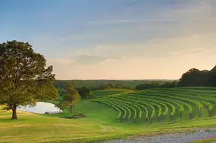 100 Aspen Ct, Dahlonega, GA 30533 - Photo 77