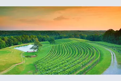 100 Aspen Court #276, Dahlonega, GA 30533 - Photo 79