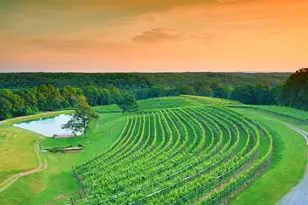 100 Aspen Ct, Dahlonega, GA 30533 - Photo 79