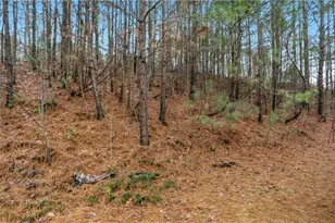 4640 Haley Farms Dr, Cumming, GA 30028 - Photo 51