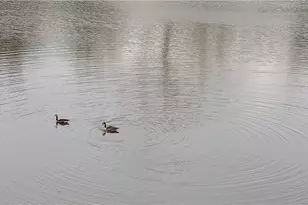 40 Glenald Way NW, Atlanta, GA 30327 - Photo 57