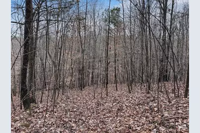 77 Observation Way, Dallas, GA 30132 - Photo 9