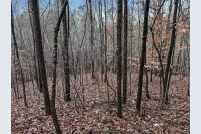 77 Observation Way, Dallas, GA 30132 - Photo 5