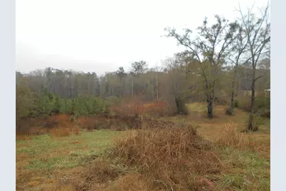 173 Youth Jersey Rd, Covington, GA 30014 - Photo 55