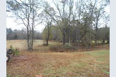 173 Youth Jersey Rd, Covington, GA 30014 - Photo 51