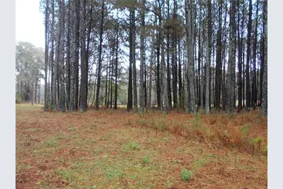 173 Youth Jersey Rd, Covington, GA 30014 - Photo 15