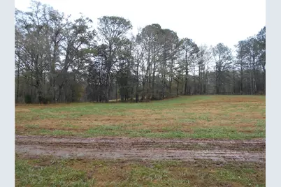 173 Youth Jersey Rd, Covington, GA 30014 - Photo 11