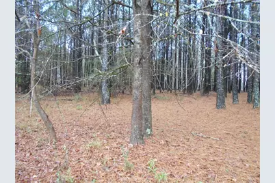 173 Youth Jersey Rd, Covington, GA 30014 - Photo 57