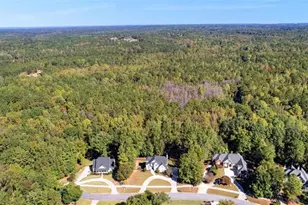 75 Primrose Pass, Newnan, GA 30265 - Photo 11