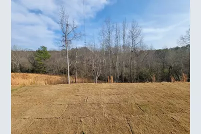 73 Silverleaf Trail, Bethlehem, GA 30620 - Photo 37