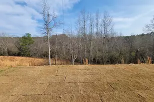 73 Silverleaf Trl, Bethlehem, GA 30620 - Photo 37