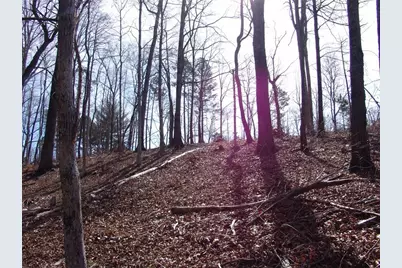 363 Lake Road, Dawsonville, GA 30534 - Photo 33