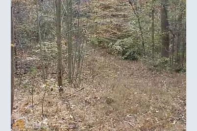 363 Lake Road, Dawsonville, GA 30534 - Photo 31