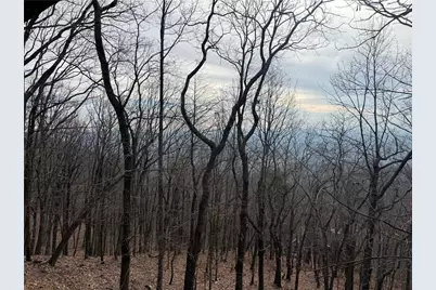 572 Cutthroat Ridge, Jasper, GA 30143 - Photo 55