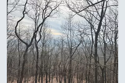 572 Cutthroat Ridge, Jasper, GA 30143 - Photo 53