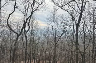 572 Cutthroat Ridge, Jasper, GA 30143 - Photo 53