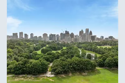 256 Castleberry Station Drive, Atlanta, GA 30313 - Photo 59