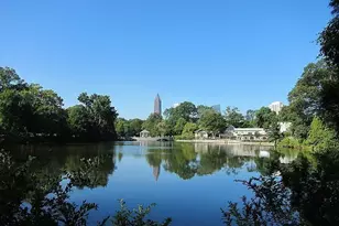 256 Castleberry Station Dr, Atlanta, GA 30313 - Photo 53