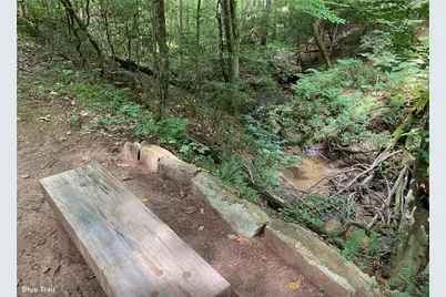 2152 Royal Fern Trail, Big Canoe, GA 30143 - Photo 9