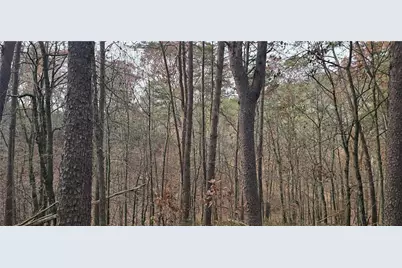 Tract 30 Deerfield Estates, Fairmount, GA 30139 - Photo 9