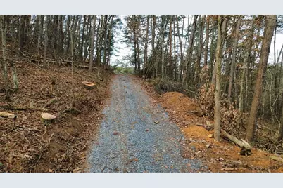 Tract 30 Deerfield Estates, Fairmount, GA 30139 - Photo 5