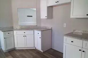 265 Perry Ln, Buchanan, GA 30113 - Photo 11