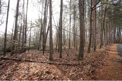 1 Amber Court, Jasper, GA 30143 - Photo 13