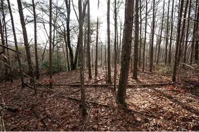 1 Amber Court, Jasper, GA 30143 - Photo 11