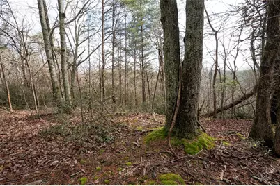 1 Amber Court, Jasper, GA 30143 - Photo 3